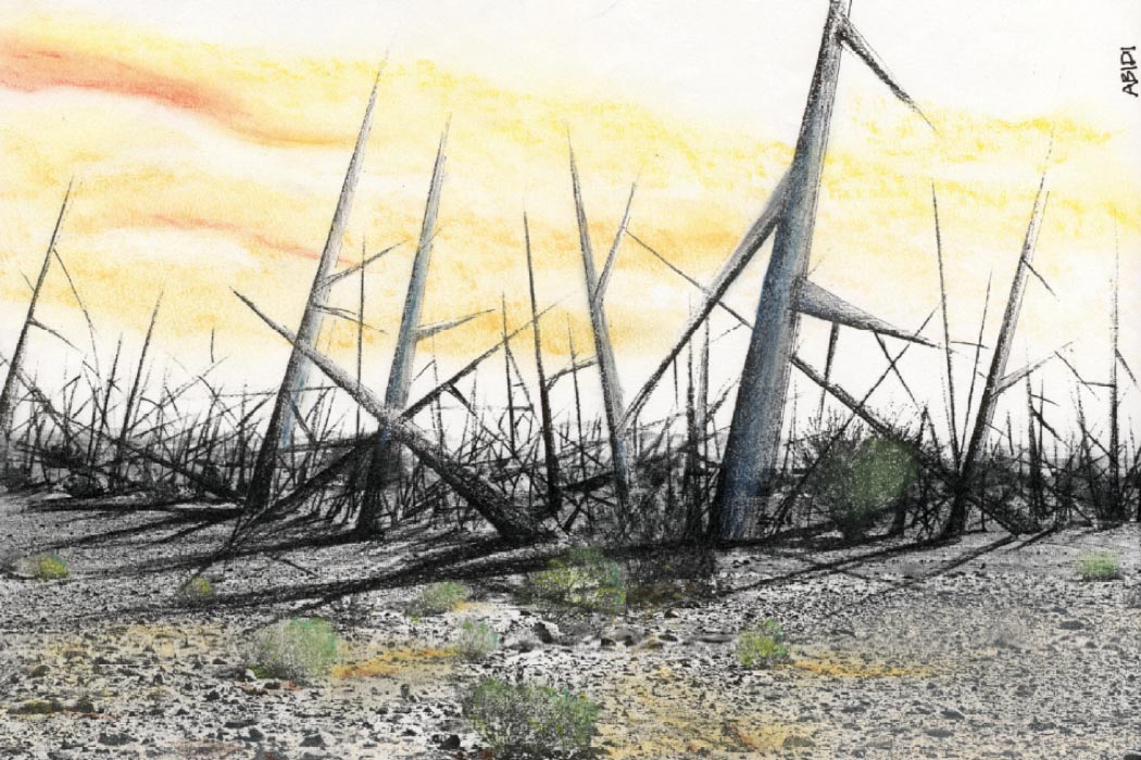 "Landscape of Thorns." (Concept by Michael Brill. Drawing by Safdar Abidi.) Landscape of Thorns