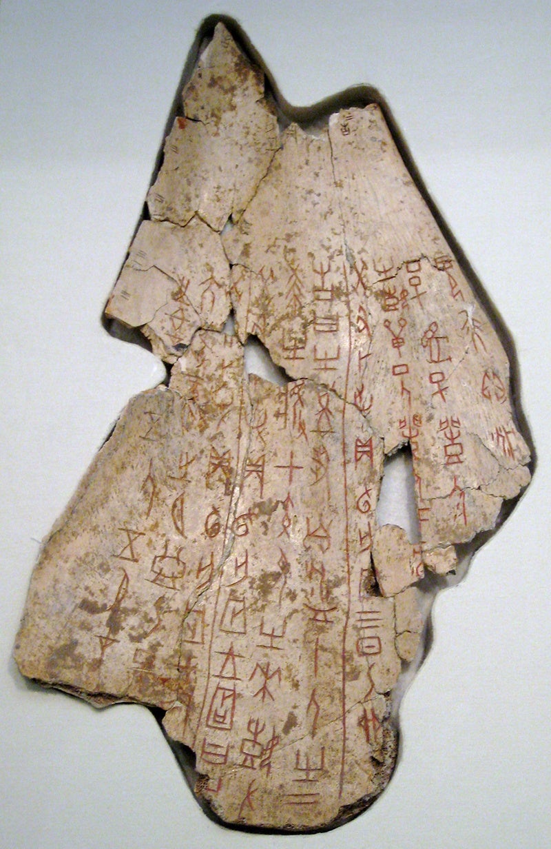 Shang Dynasty oracle bones