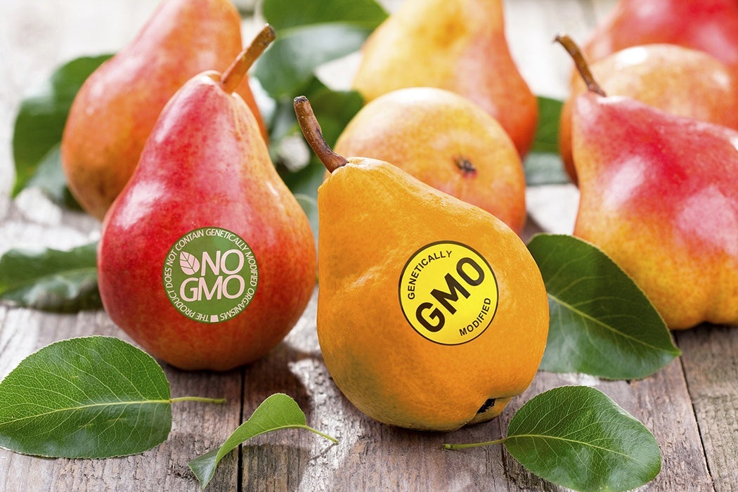 GMO pears