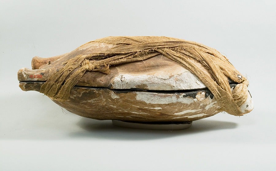 Food Case Probably Containing a Preserved Duck