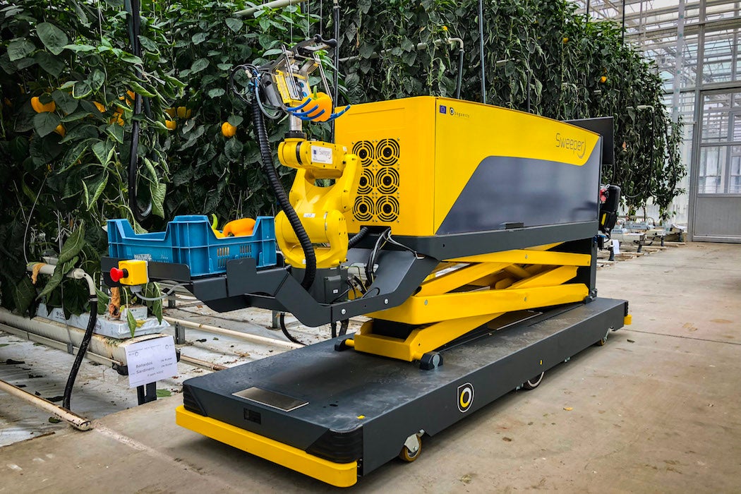 Sweeper machine in a greenhouse of fruit trees