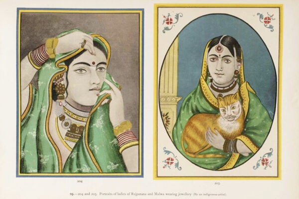 Source: http://www.jstor.g.sjuku.top/stable/saoa.crl.29887514