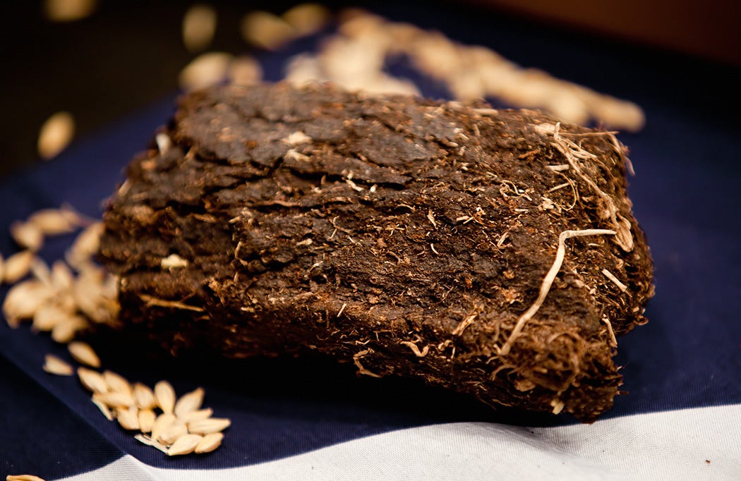 A lump of peat used to make whiskey