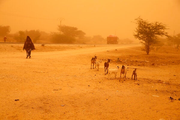 Harmattan wind in Senegal