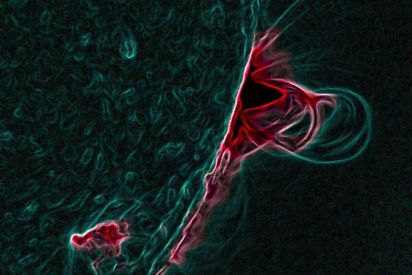 An image of magnetic loops on the sun, captured by NASA's Solar Dynamics Observatory on July 18, 2012.