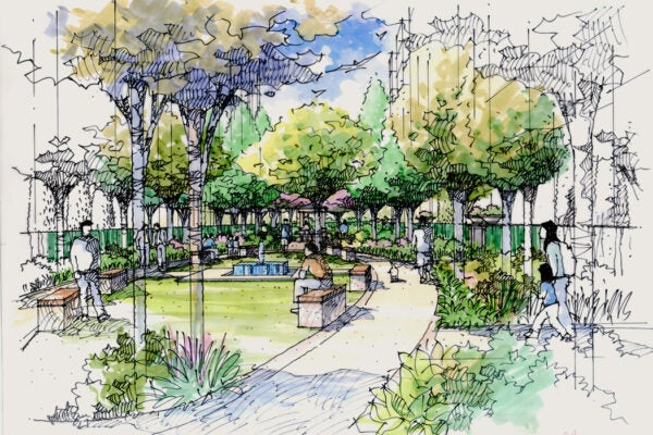 Landscape garden showing the foot path, lawn area, benches, water feature and pavilion on background. This sketch created, drawn in pen and marker.