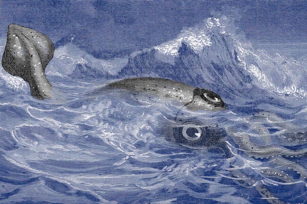 An illustration of a giant squid, 1887